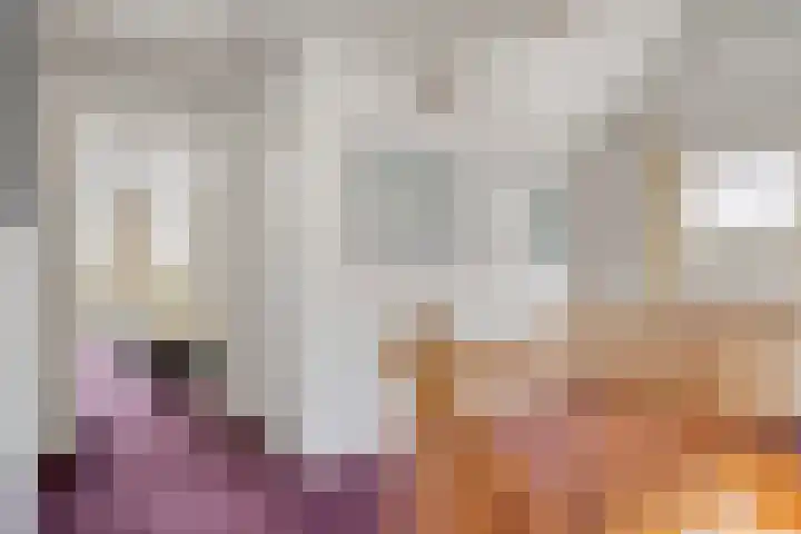 Zwaluw 3 Sint-Oedenrode thumbnail 31