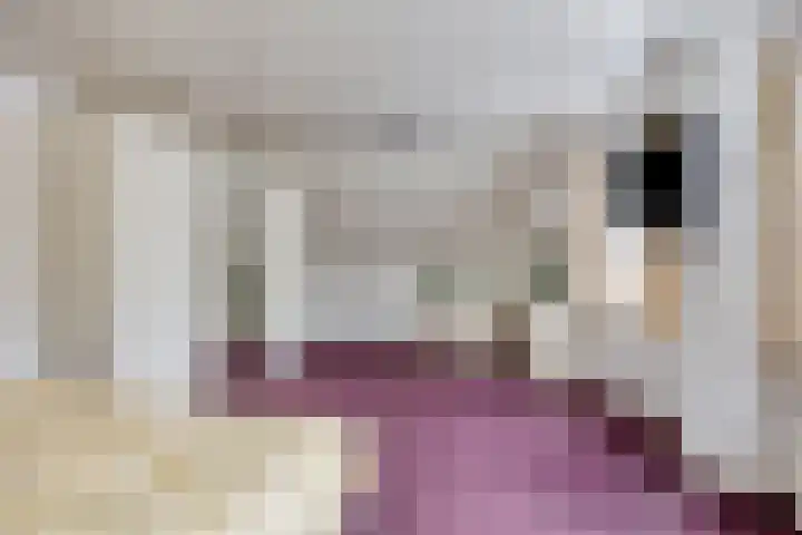 Zwaluw 3 Sint-Oedenrode thumbnail 33