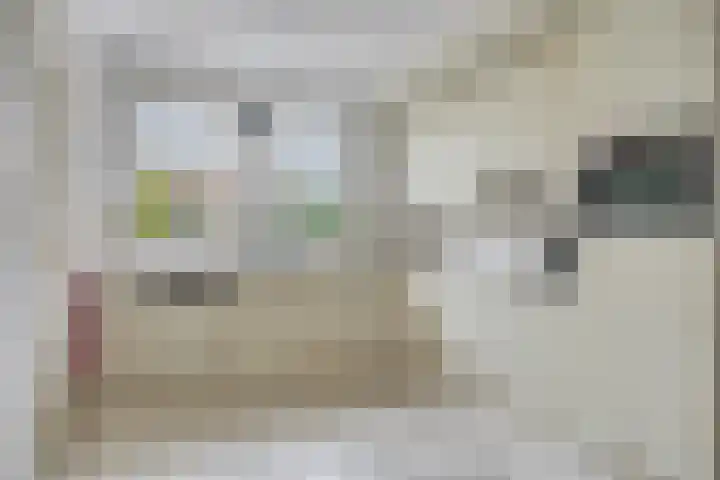 Zwaluw 3 Sint-Oedenrode thumbnail 4