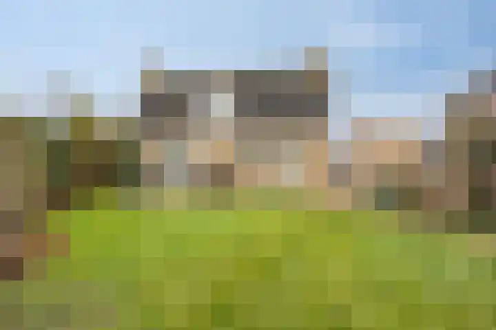 Zwaluw 3 Sint-Oedenrode thumbnail 46