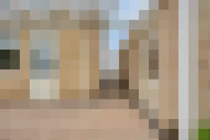 Zwaluw 3 Sint-Oedenrode thumbnail 49
