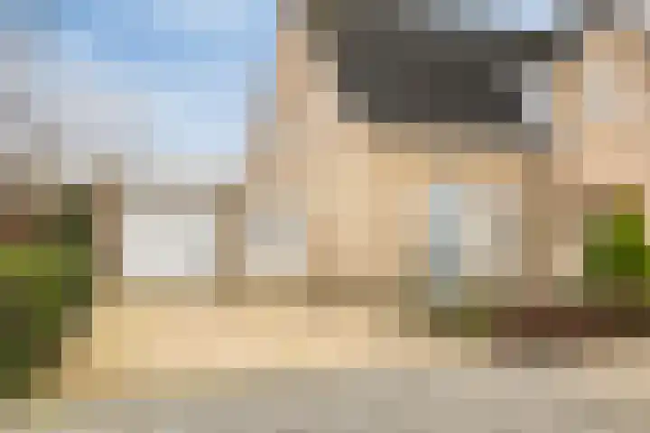 Zwaluw 3 Sint-Oedenrode thumbnail 50