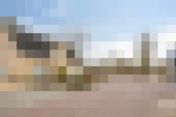 Zwaluw 3 Sint-Oedenrode thumbnail 52