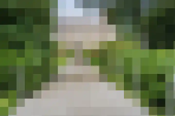 Zwaluw 3 Sint-Oedenrode thumbnail 55