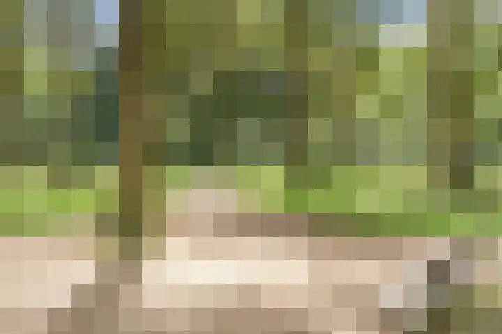 Zwaluw 3 Sint-Oedenrode thumbnail 58