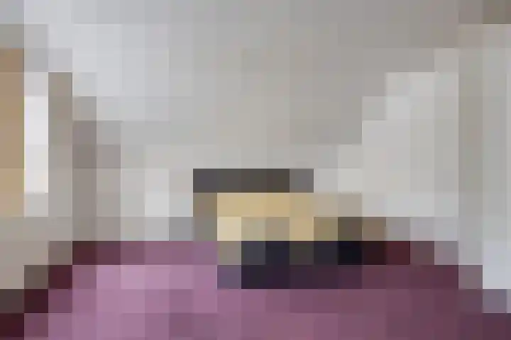 Zwaluw 3 Sint-Oedenrode thumbnail 7