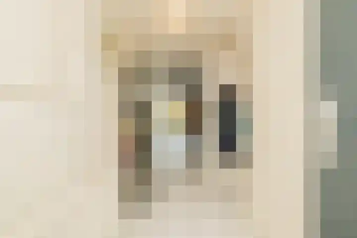 Zwaluw 3 Zoeterwoude thumbnail 12