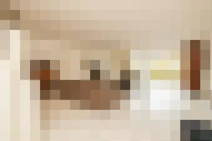 Zwaluw 3 Zoeterwoude thumbnail 13