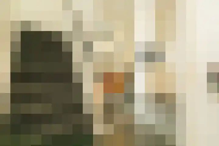 Zwaluw 3 Zoeterwoude thumbnail 19
