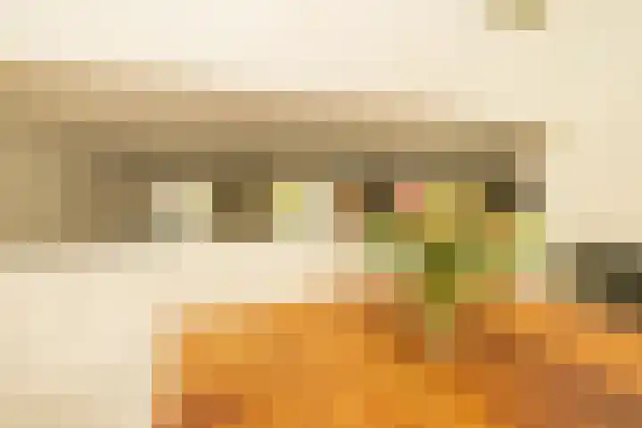 Zwaluw 3 Zoeterwoude thumbnail 20