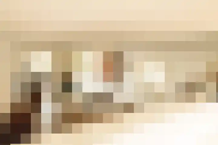 Zwaluw 3 Zoeterwoude thumbnail 21