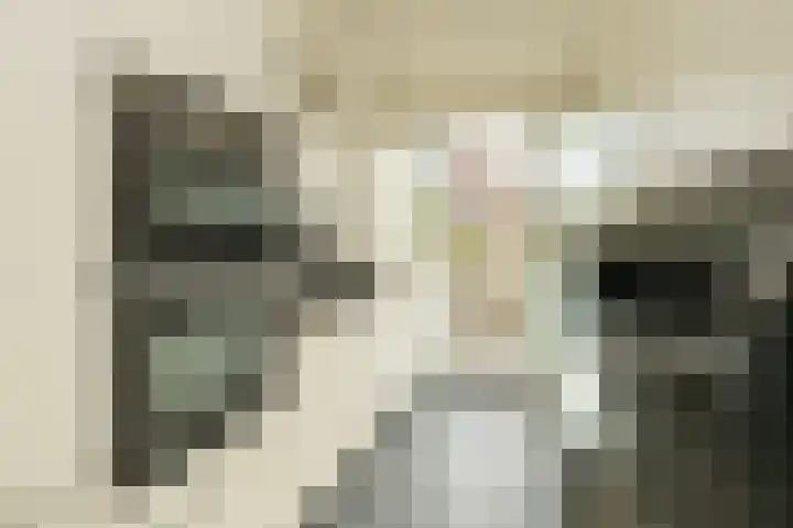 Zwaluw 3 Zoeterwoude thumbnail 23