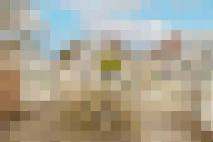 Zwaluw 3 Zoeterwoude thumbnail 24