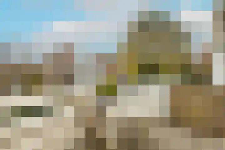 Zwaluw 3 Zoeterwoude thumbnail 25
