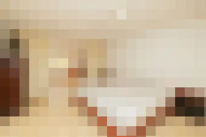 Zwaluw 3 Zoeterwoude thumbnail 30