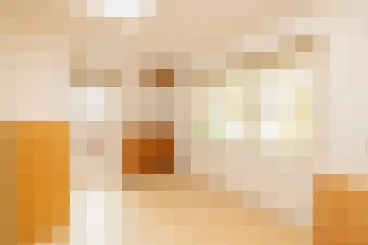 Zwaluw 3 Zoeterwoude thumbnail 32