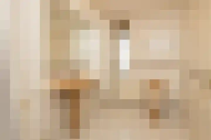 Zwaluw 3 Zoeterwoude thumbnail 35