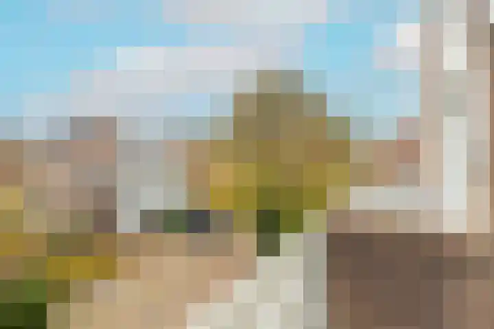 Zwaluw 3 Zoeterwoude thumbnail 38