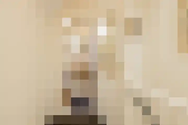 Zwaluw 3 Zoeterwoude thumbnail 44