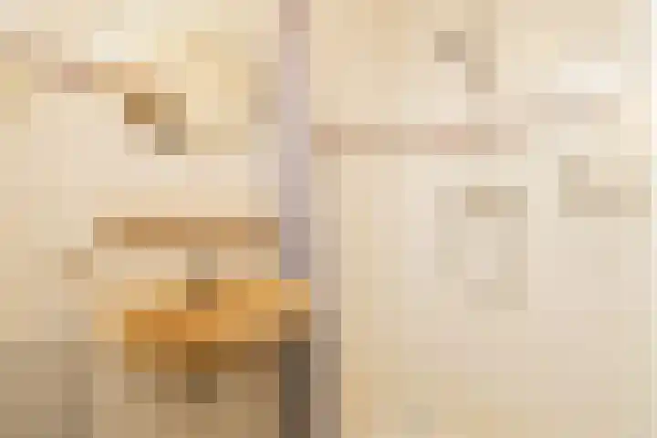 Zwaluw 3 Zoeterwoude thumbnail 45