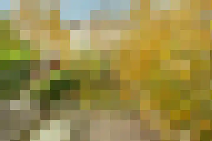 Zwaluw 3 Zoeterwoude thumbnail 48