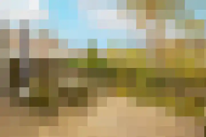Zwaluw 3 Zoeterwoude thumbnail 49