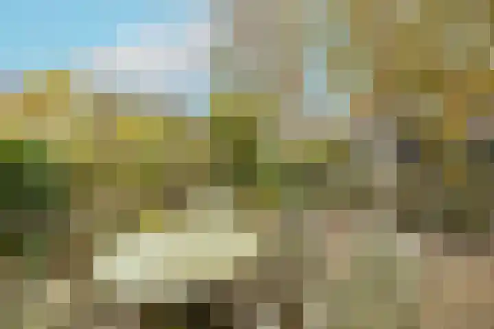 Zwaluw 3 Zoeterwoude thumbnail 50