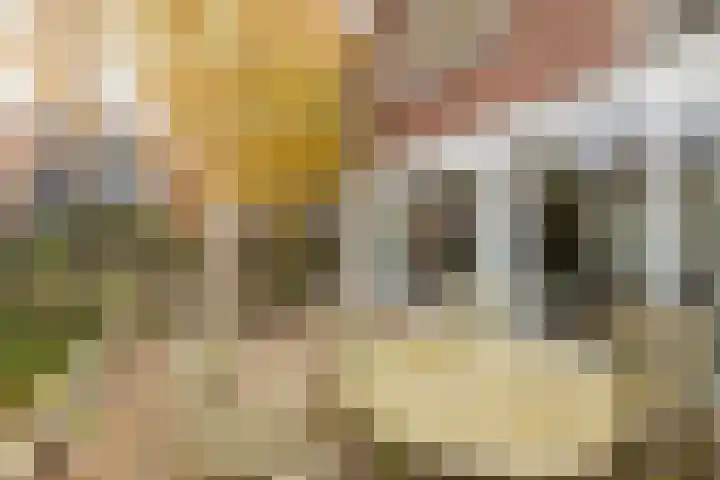 Zwaluw 3 Zoeterwoude thumbnail 51