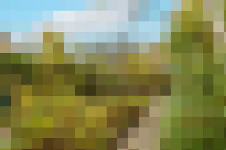 Zwaluw 3 Zoeterwoude thumbnail 52
