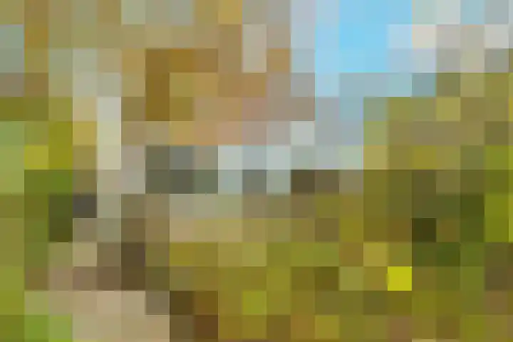 Zwaluw 3 Zoeterwoude thumbnail 53