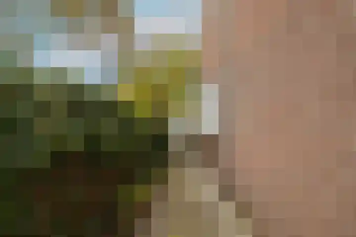 Zwaluw 3 Zoeterwoude thumbnail 54