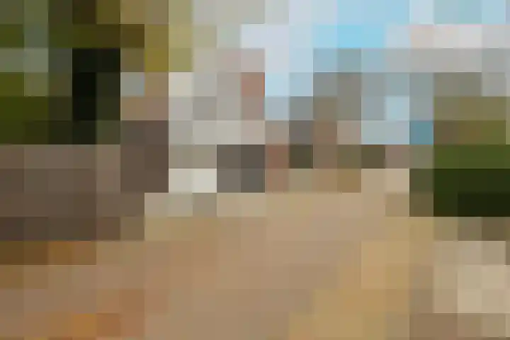 Zwaluw 3 Zoeterwoude thumbnail 7