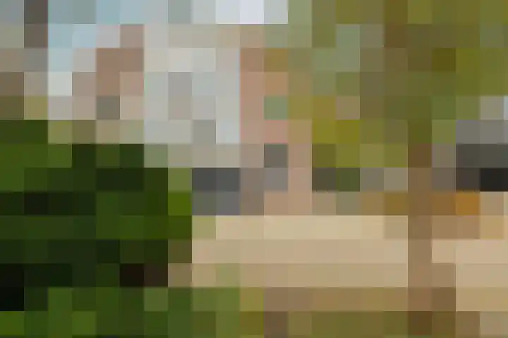 Zwaluw 3 Zoeterwoude thumbnail 8