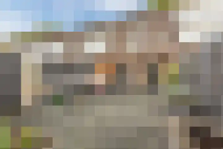 Zwaluw 34 Bunschoten-Spakenburg thumbnail 38