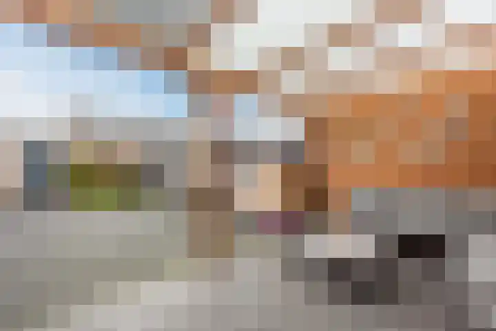 Zwaluw 34 Bunschoten-Spakenburg thumbnail 39
