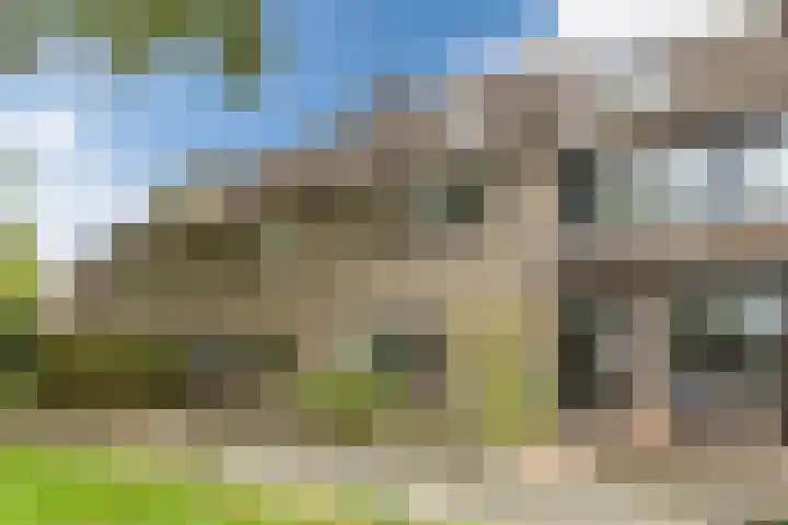 Zwaluw 34 Bunschoten-Spakenburg thumbnail 47