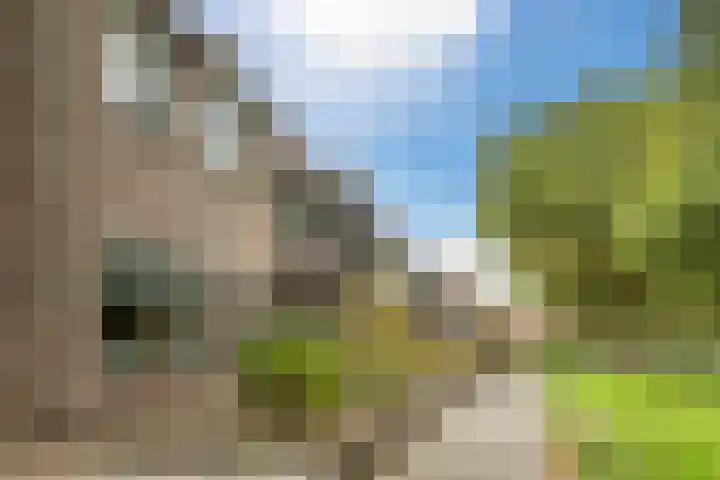 Zwaluw 34 Bunschoten-Spakenburg thumbnail 48