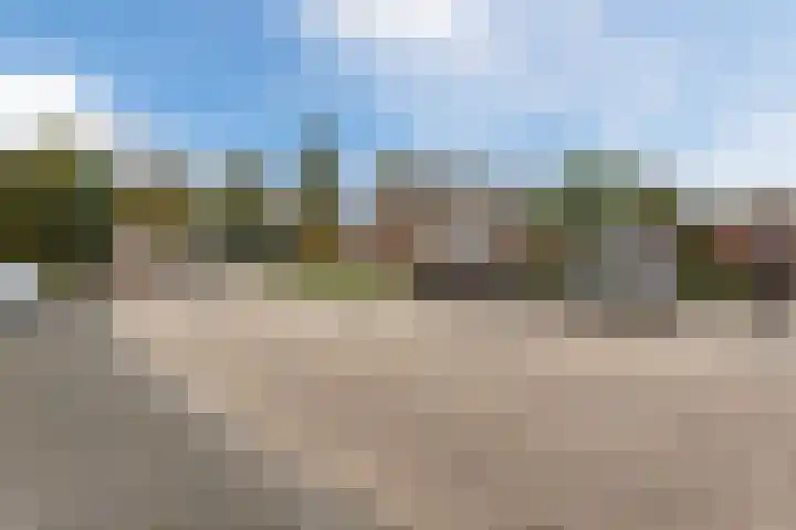 Zwaluw 34 Bunschoten-Spakenburg thumbnail 49