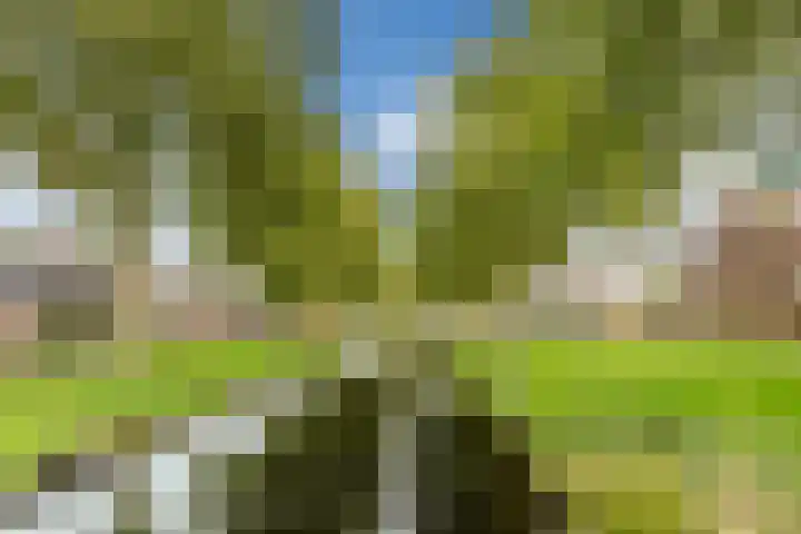 Zwaluw 34 Bunschoten-Spakenburg thumbnail 51