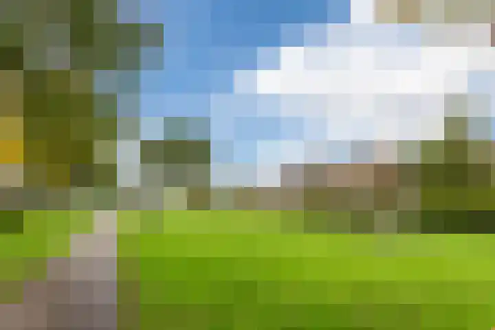Zwaluw 34 Bunschoten-Spakenburg thumbnail 53