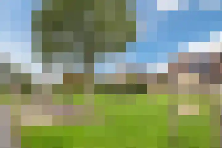 Zwaluw 34 Bunschoten-Spakenburg thumbnail 54