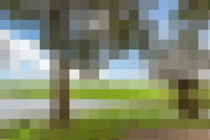 Zwaluw 34 Bunschoten-Spakenburg thumbnail 55