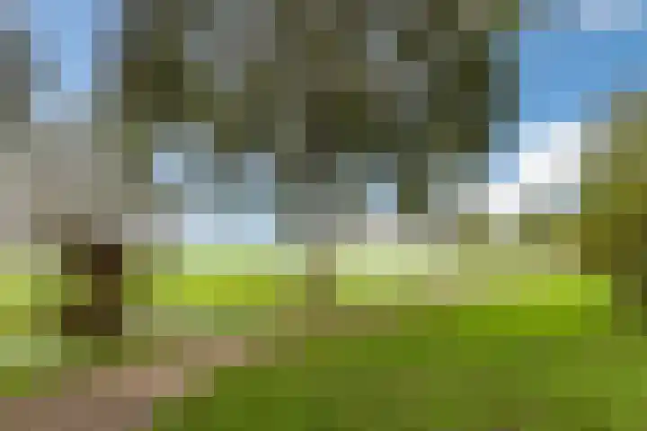 Zwaluw 34 Bunschoten-Spakenburg thumbnail 56