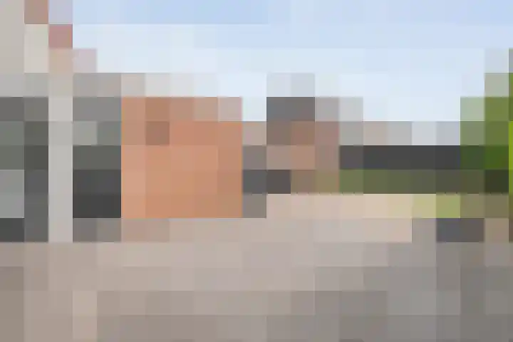 Zwaluw 35 Raalte thumbnail 10