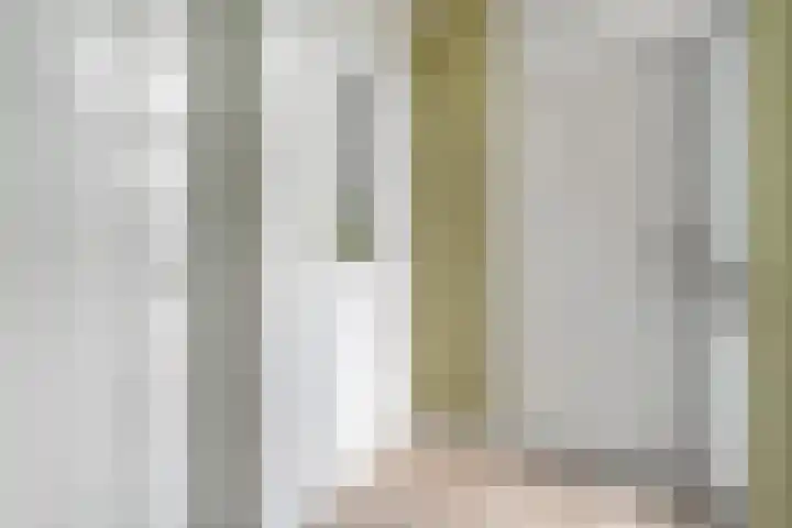 Zwaluw 35 Raalte thumbnail 11