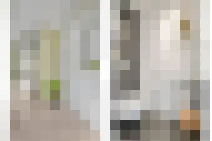 Zwaluw 35 Raalte thumbnail 13