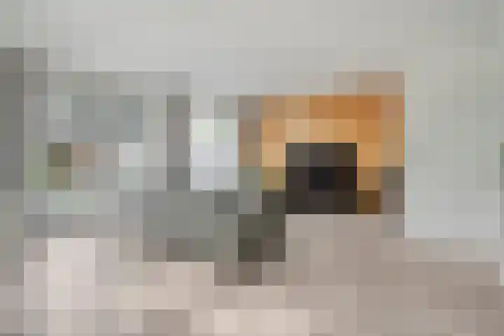 Zwaluw 35 Raalte thumbnail 14