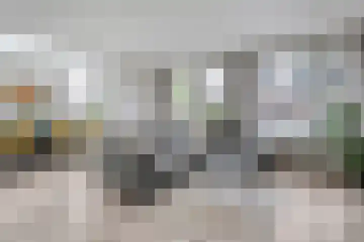 Zwaluw 35 Raalte thumbnail 15