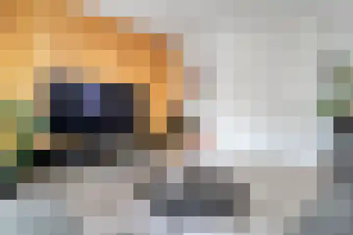 Zwaluw 35 Raalte thumbnail 16