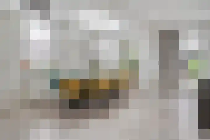Zwaluw 35 Raalte thumbnail 17